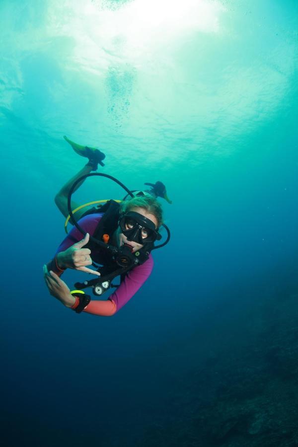 داوين Bongo Bongo Divers المظهر الخارجي الصورة